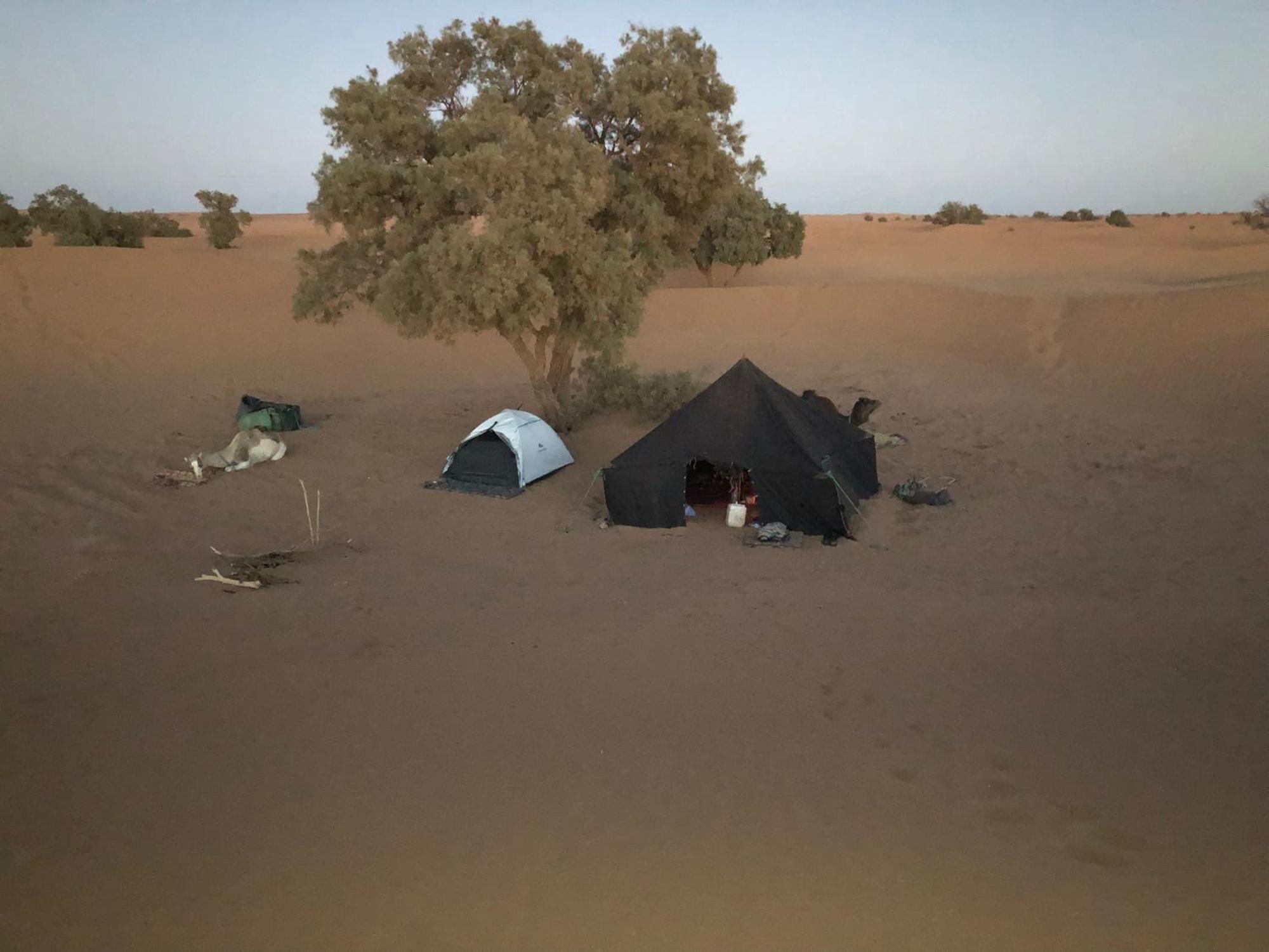 Nomads Life Style Hotel M'Hamid Bagian luar foto