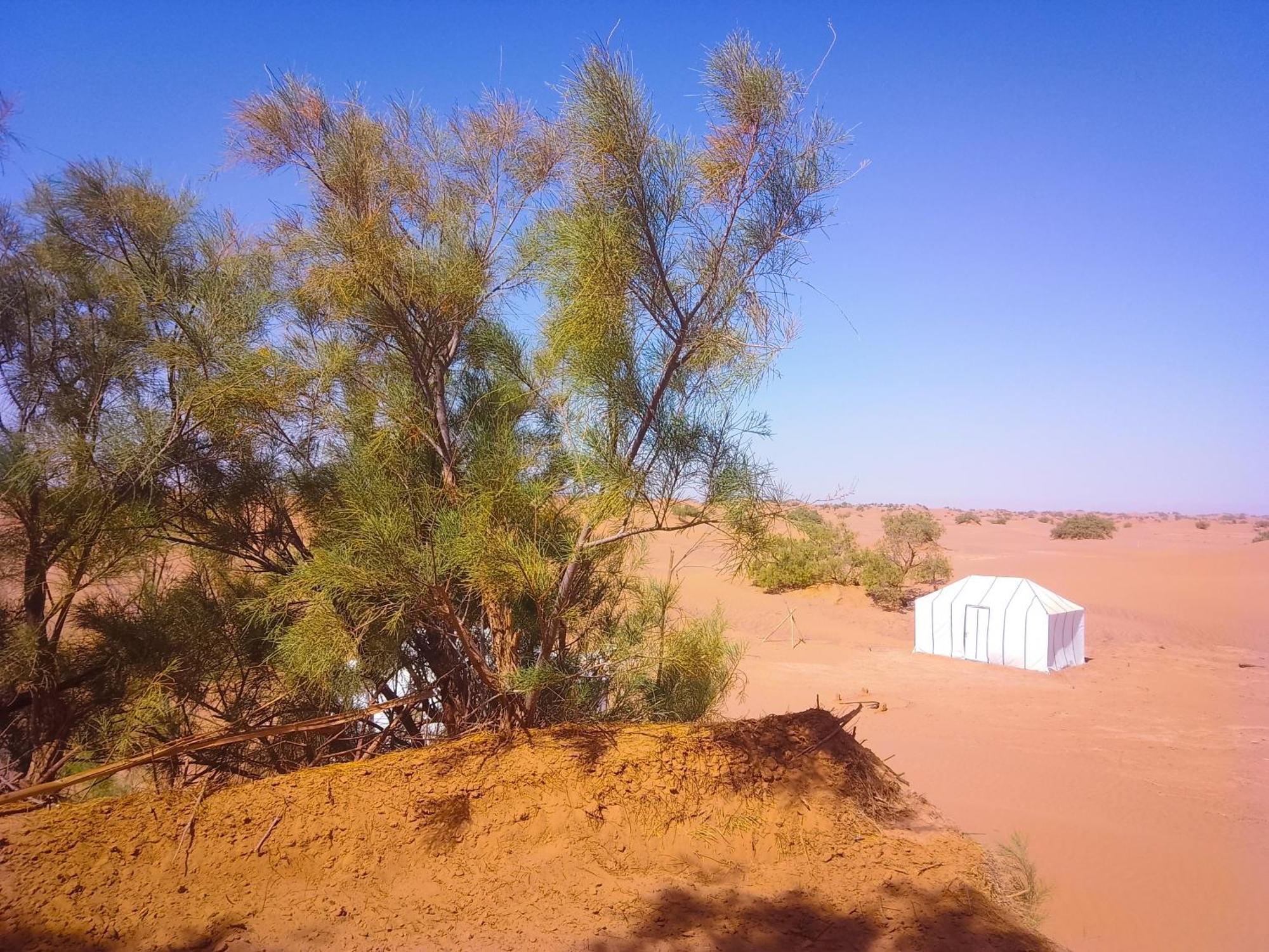 Nomads Life Style Hotel M'Hamid Bagian luar foto