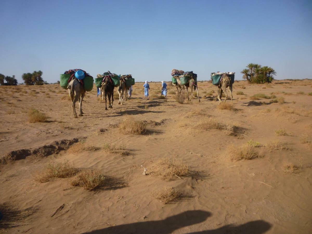 Nomads Life Style Hotel M'Hamid Bagian luar foto
